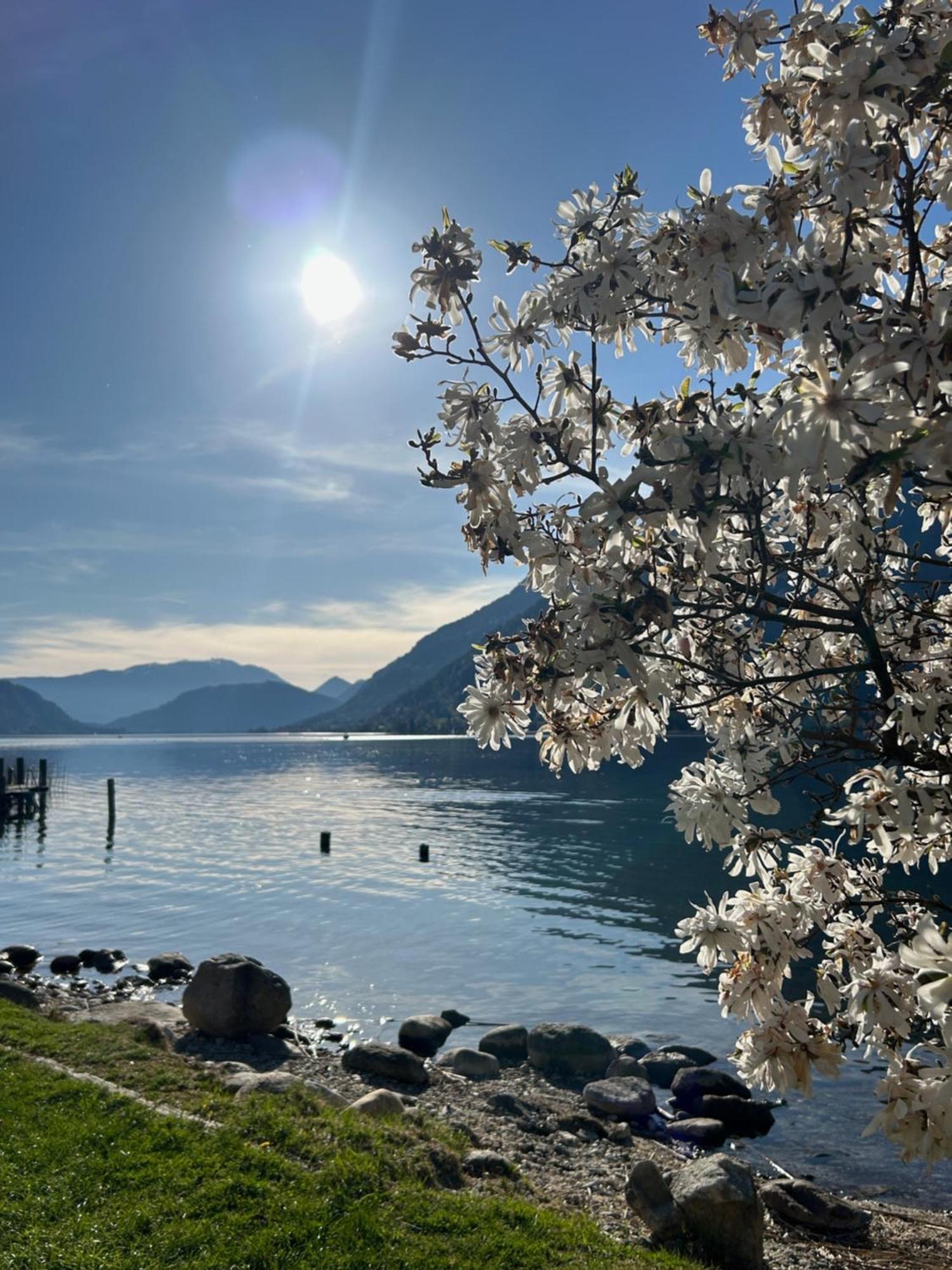 Strandhotel Prinz Ossiach Zewnętrze zdjęcie